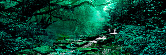 Cascade dans une forêt fantastique et sombre