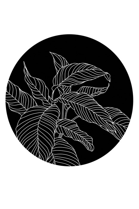 Feuilles blanches sur fond noir dans un cercle