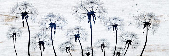 Motif décoratif de pissenlits dans des tons de gris