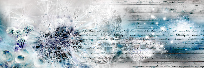 Pissenlits dans des tons bleus avec un motif d'écriture