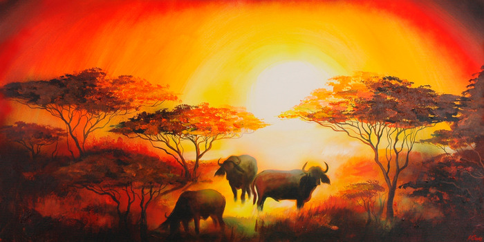 Des buffles africains dans la douce lumière