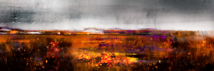 Un champ aux couleurs chaudes dans un style artistique