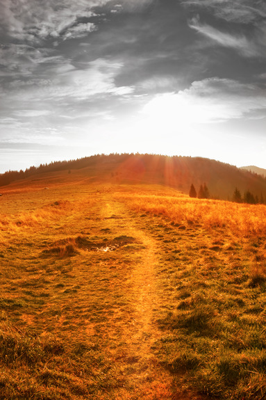 Idyll (1 part) vertical