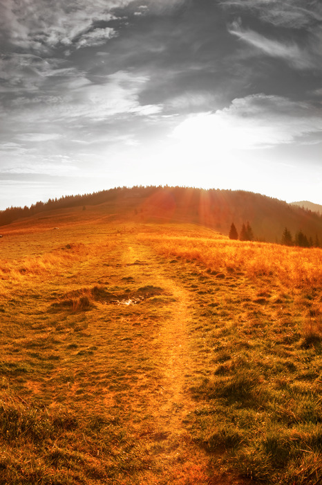 Une clairière au coucher du soleil, traversée par un sentier.