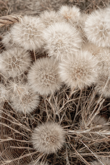 Delicate bunch (1 part) vertical