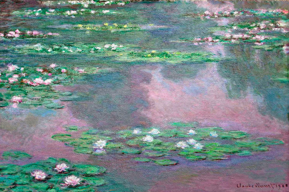 Nénuphars à la surface calme d&#39;un étang