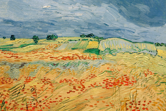 Des champs pittoresques aux couleurs intenses