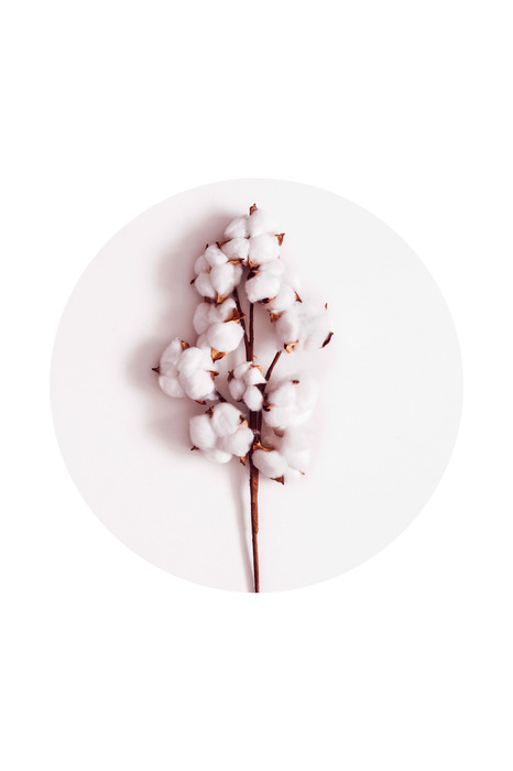 Un brin de coton en cercle