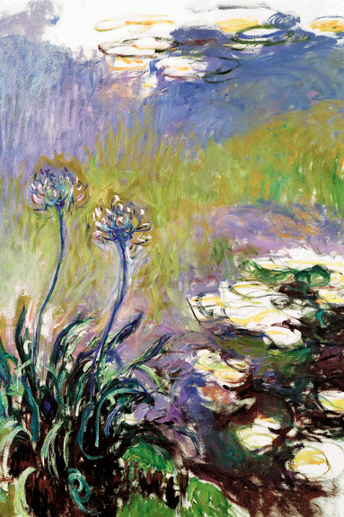 Une prairie pleine de fleurs et de nénuphars au bord de l&#39;étang