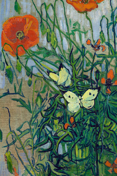 Paysage d&#39;une prairie avec des coquelicots et des papillons flottants