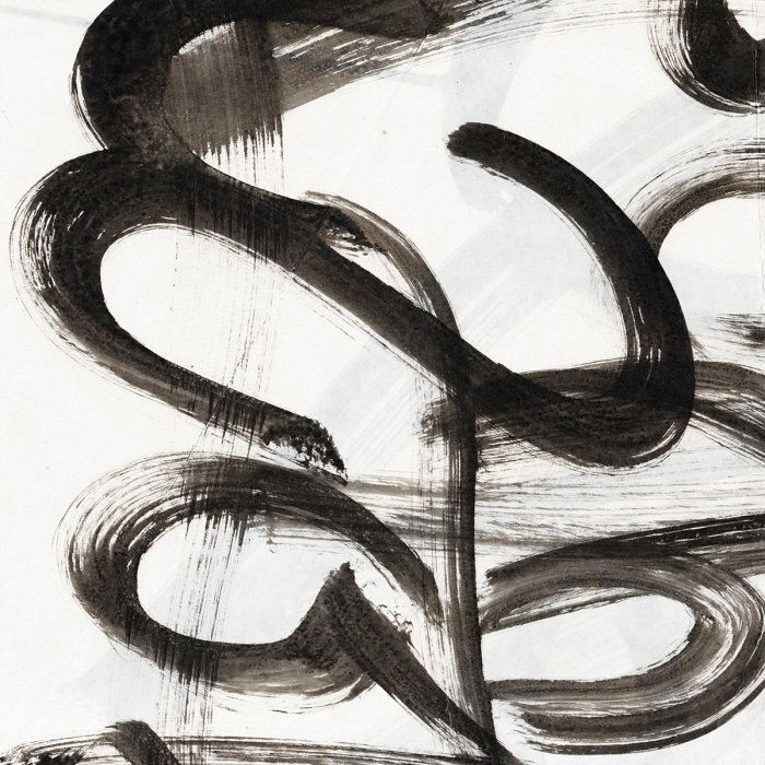 Lignes ondulées en mouvement expressif