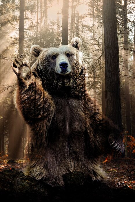 Un ours dans une composition de conifères verts