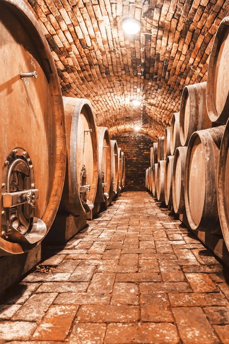 Cave rustique en pierre avec barriques