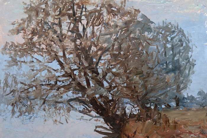 Un paysage d'automne paisible avec des arbres