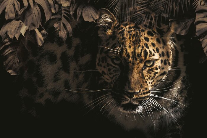 Portrait d'un tigre au regard perçant