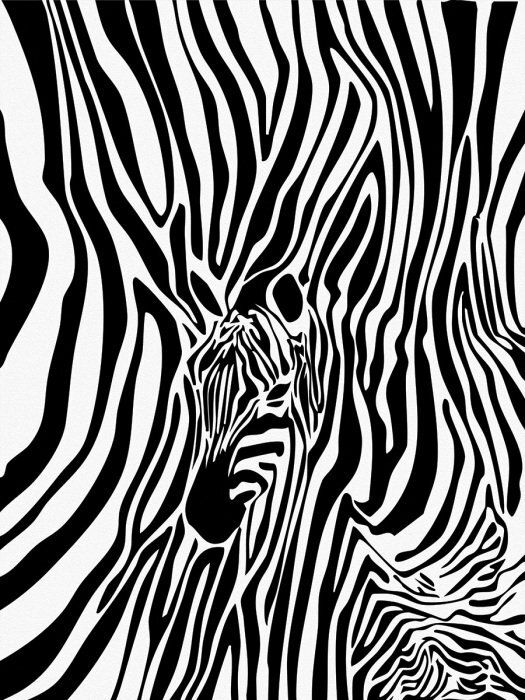 Illusion avec une imitation de zèbre