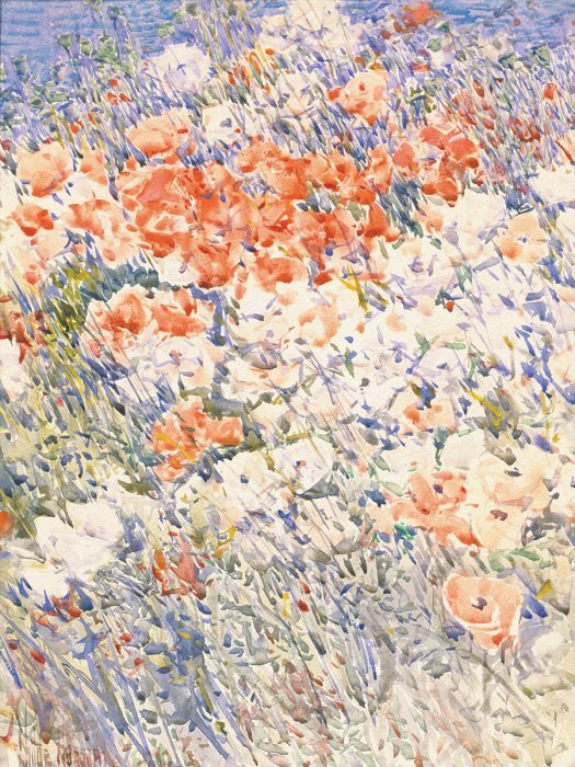 Rayons de soleil sur une clairière fleurie au milieu de l'herbe