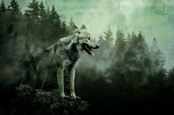 Un paysage brumeux avec un loup parmi les pins