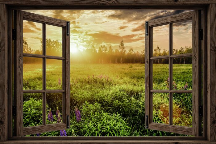 La lumière dorée du soleil couchant illumine la prairie et la forêt