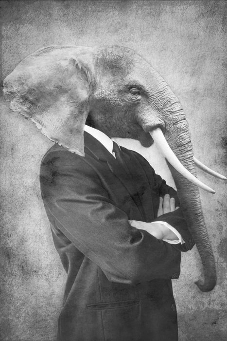 Portrait abstrait d'un homme à tête d'éléphant