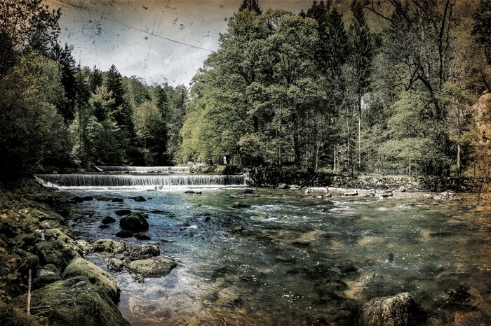Une rivière avec des pierres dans une forêt de feuillus