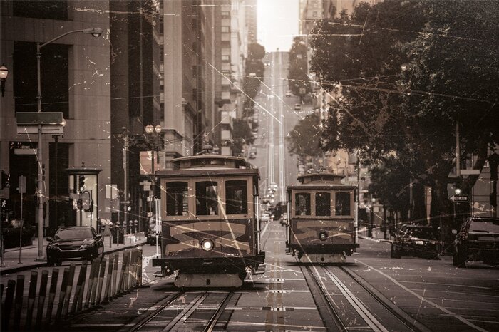 Des tramways dans la ville, au milieu des arbres