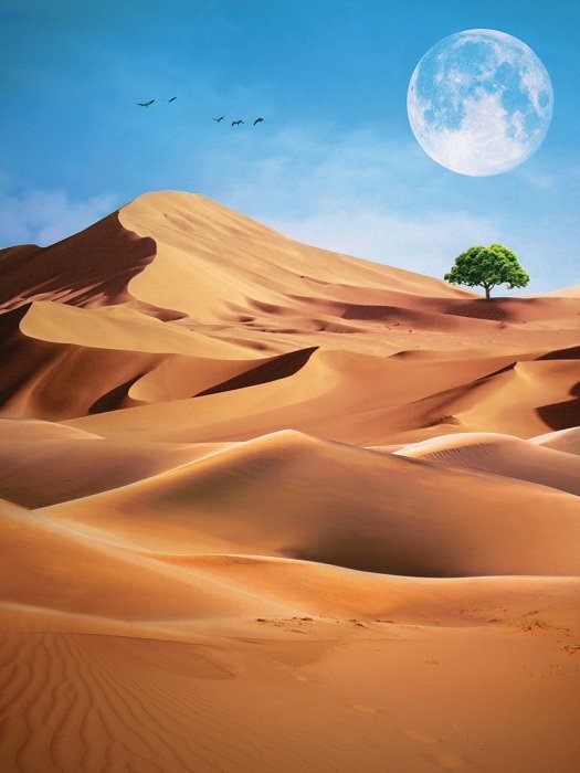 Un arbre dans le désert avec la lune