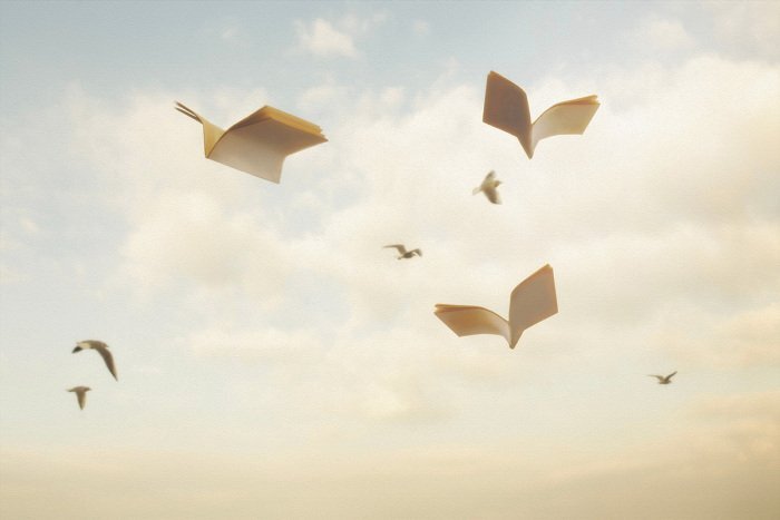 Oiseaux en papier dans les nuages