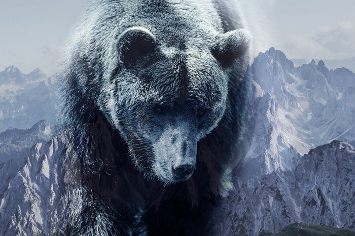 Ours brun sur fond de rochers de montagne