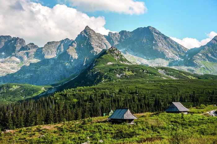 Cabanes en bois au milieu des forêts de conifères de montagne
