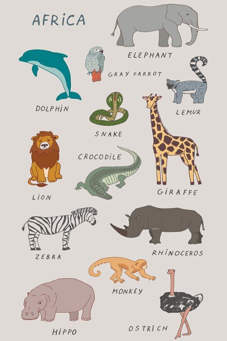 Illustrations colorées d'animaux exotiques