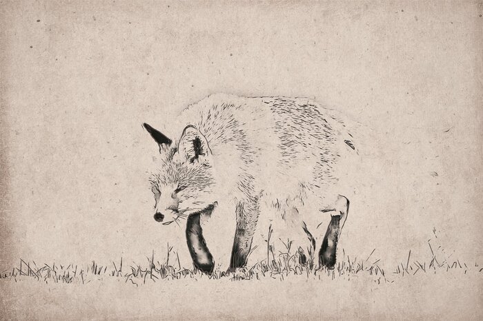 Dessin minimaliste d'un renard