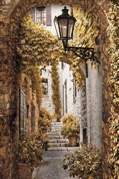 Un charmant escalier au milieu d'une rue pavée bordée de plantes