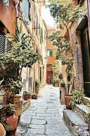 Une rue bordée d&#39;immeubles et d&#39;une végétation luxuriante