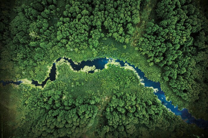 Une vallée forestière traversée par une rivière sinueuse