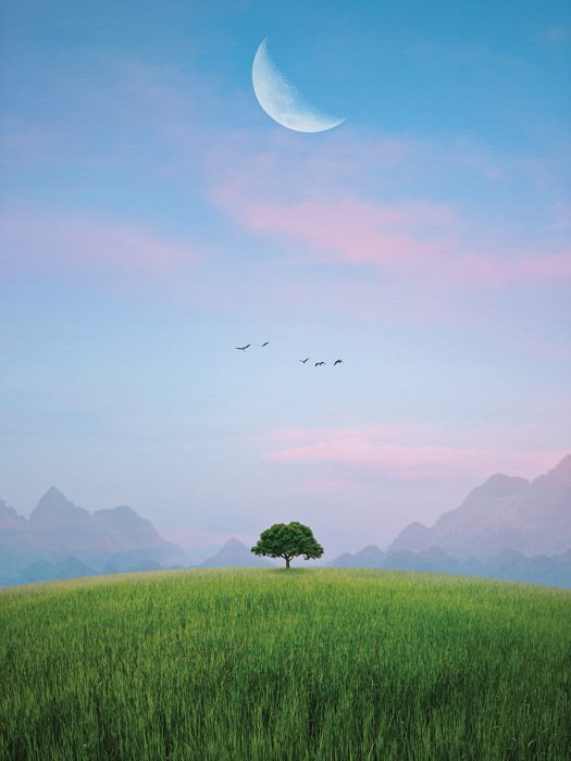 Champs et montagnes avec un arbre au clair de lune