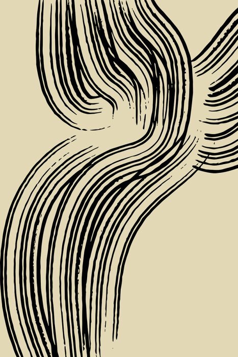 Une douce vague de contours noirs