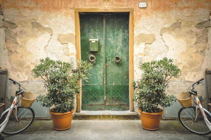 Porte rustique en bois avec verdure