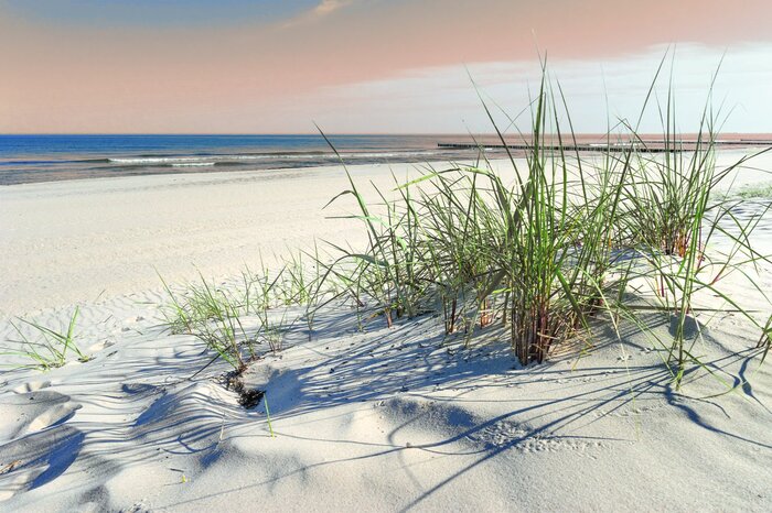 Dunes de sable enveloppées par la brise marine
