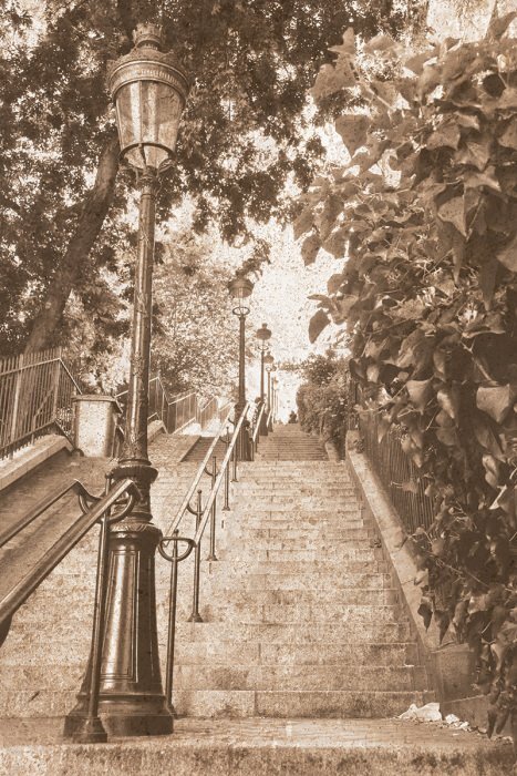 Escaliers de pierre éclairés par des lanternes au milieu de la verdure