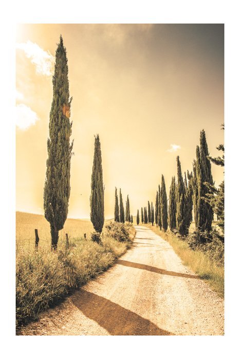 Chemin toscan avec des cyprès et des collines en arrière-plan