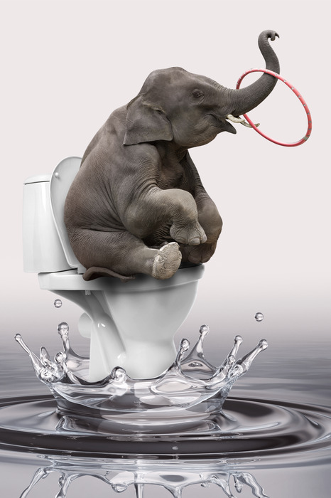 Une scène humoristique avec un bébé éléphant