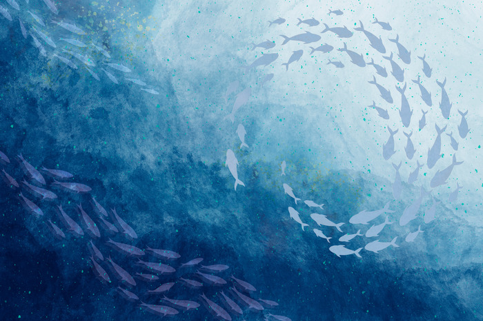 Des bancs de poissons dans les profondeurs bleues