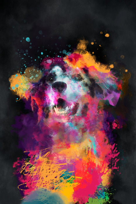 Un chien dans une composition dynamique et multicolore