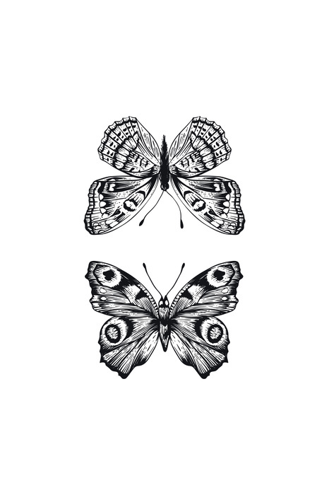 Une paire de papillons dans une illustration en noir et blanc