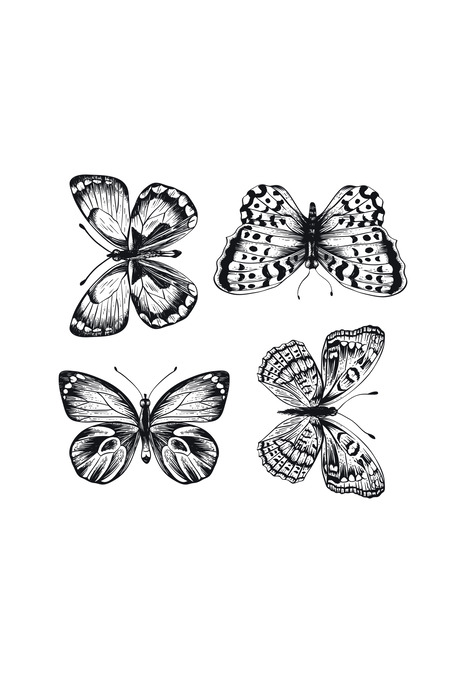 Un dessin de quatre papillons en noir et blanc