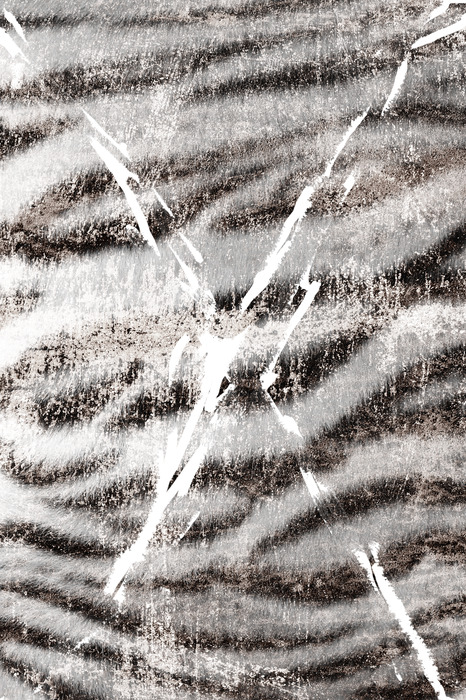 Motif animal avec fourrure de tigre blanc