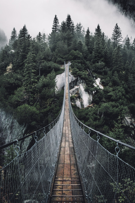 Traversée de la forêt sur un pont en bois