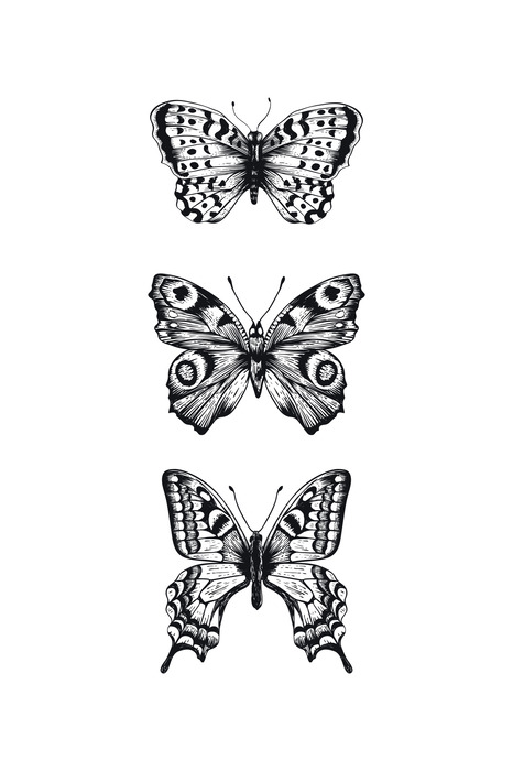 Trois papillons noirs et blancs disposés verticalement