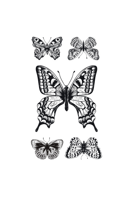 Une composition avec cinq papillons en noir et blanc